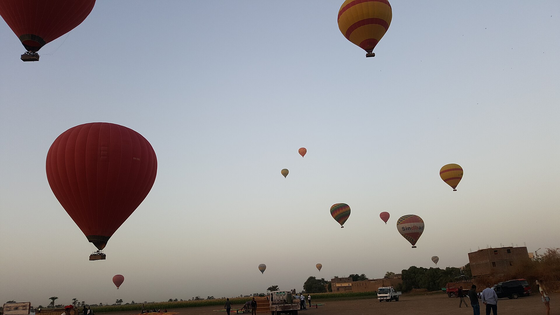 Several hot air balloons ascending into the morning sky near Luxor